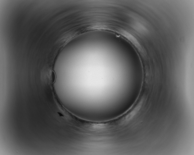 X0000089390849200706151221