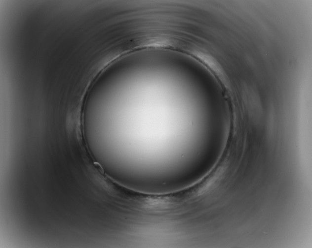 X0000089390850200706151221