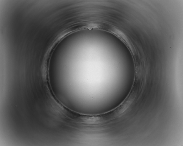 X0000089390851200706151221