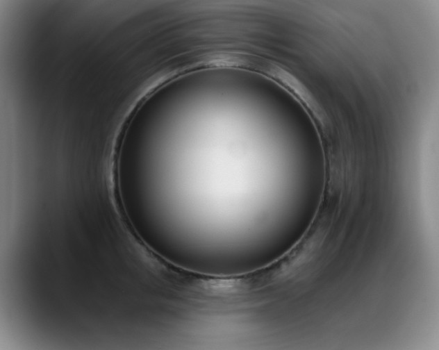 X0000089390853200706151221