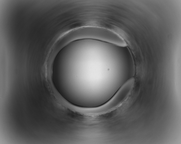 X0000089390854200706151221