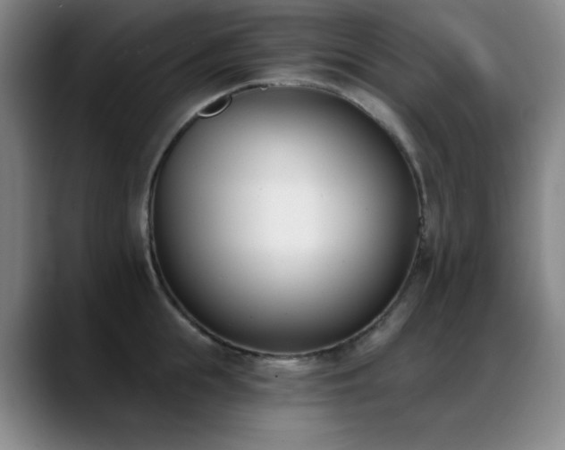 X0000089390855200706151221
