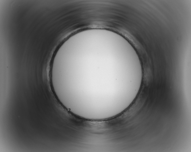 X0000089390856200706151221