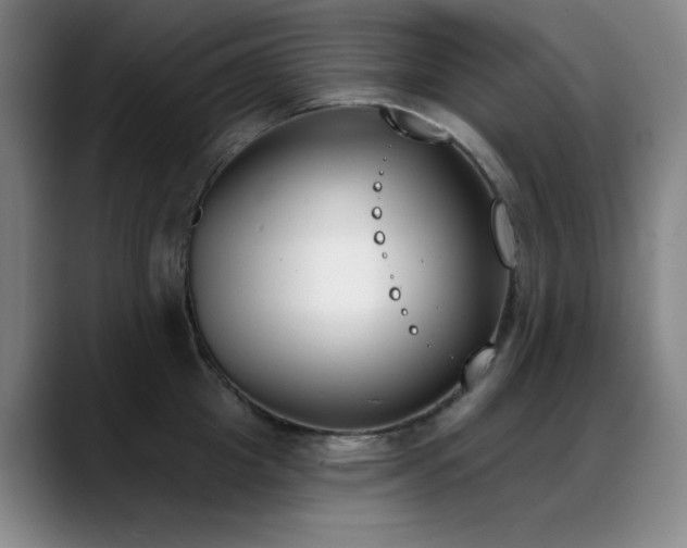 X0000089390857200706151221