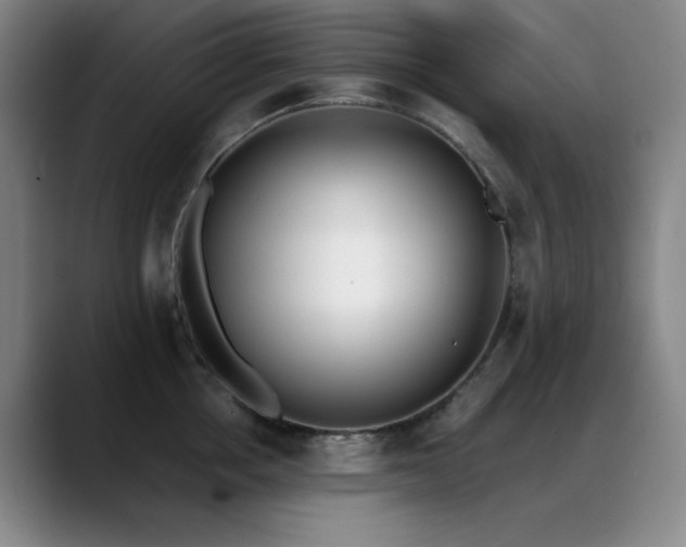 X0000089390858200706151221