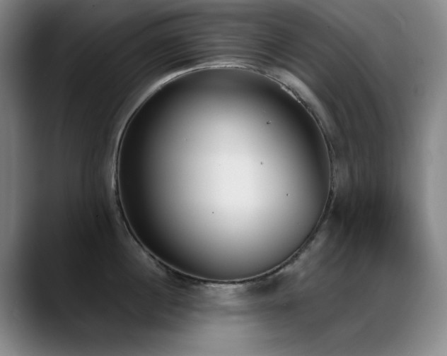 X0000089390860200706151221