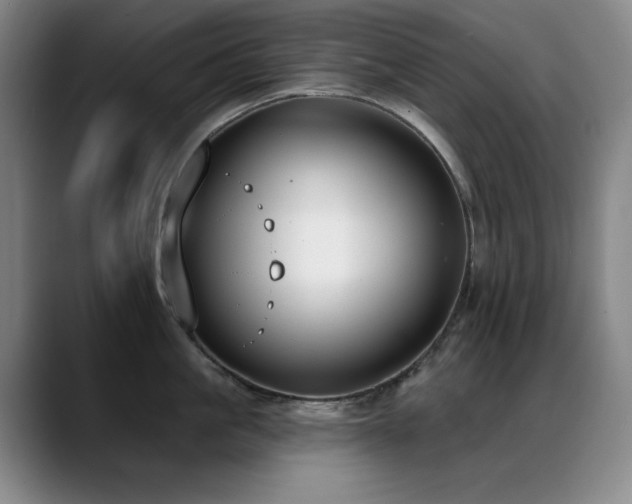 X0000089390861200706151221