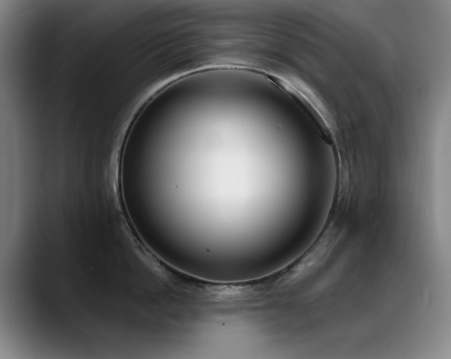 X0000089390862200706151221