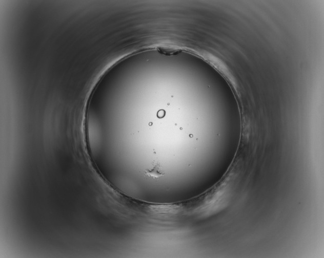 X0000089390863200706151221