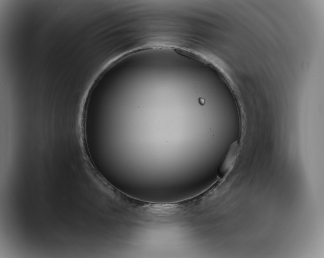 X0000089390864200706151221
