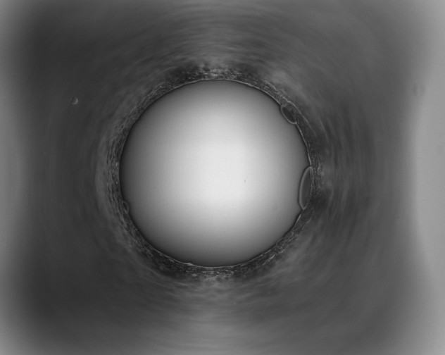 X0000089390865200706151220