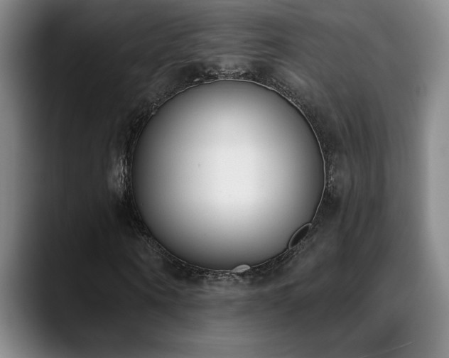 X0000089390866200706151220