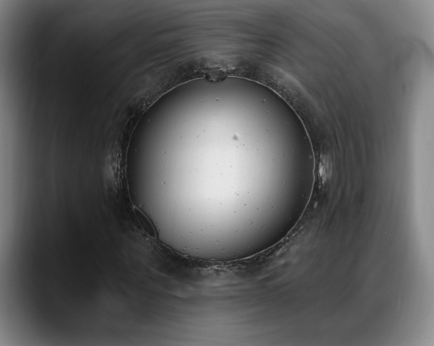 X0000089390867200706151220