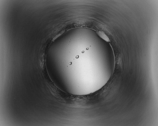 X0000089390868200706151220