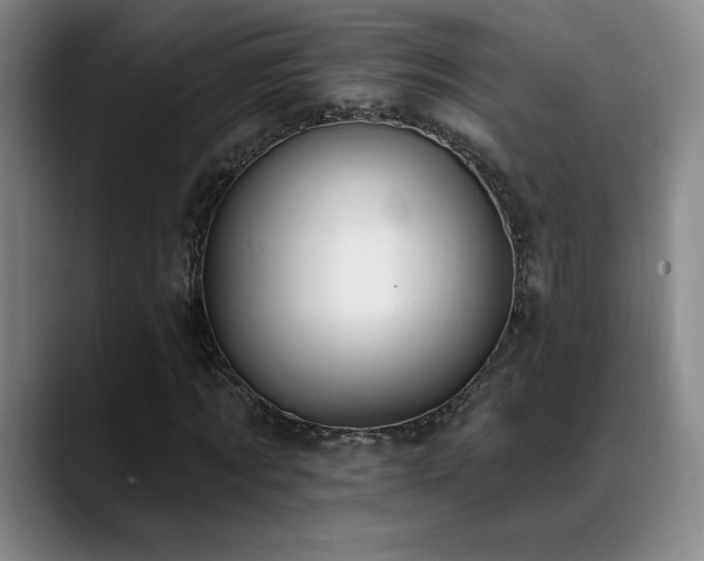 X0000089390869200706151220