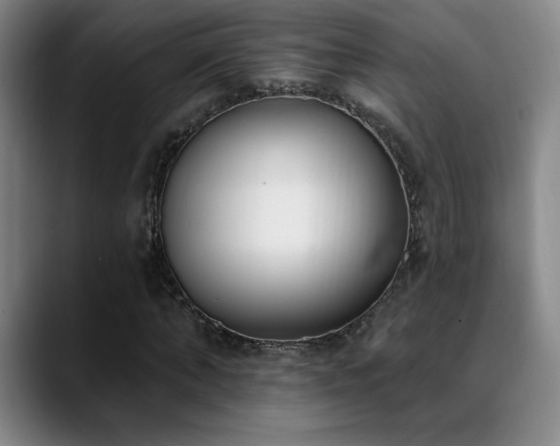 X0000089390870200706151220