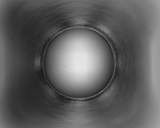 X0000089390873200706151220