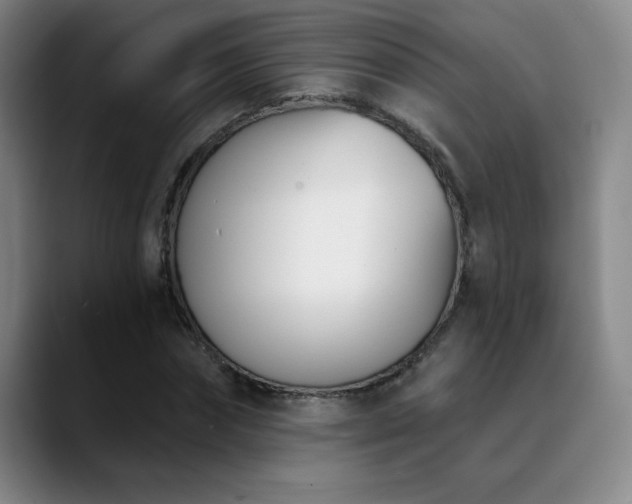 X0000089390874200706151220