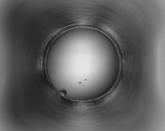 X0000089390875200706151220