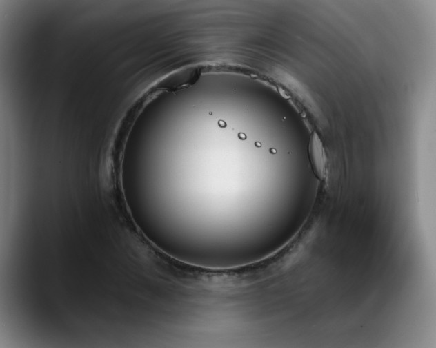 X0000089390876200706151220