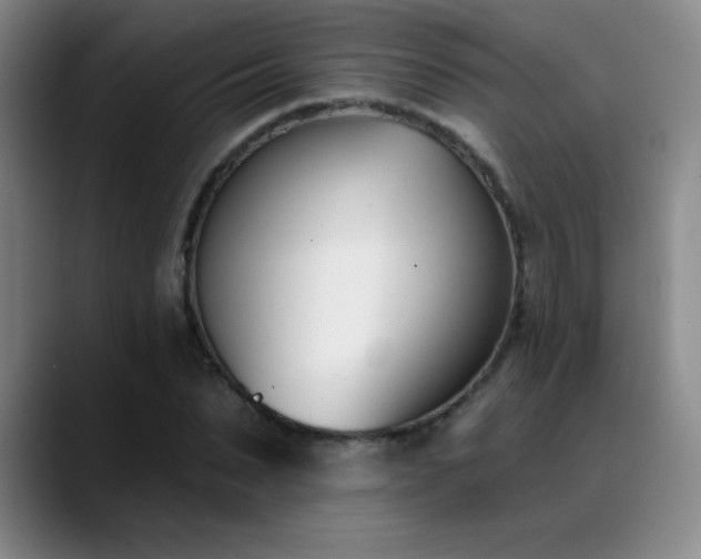 X0000089390879200706151220