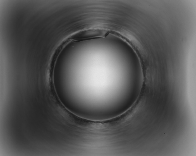 X0000089390880200706151220