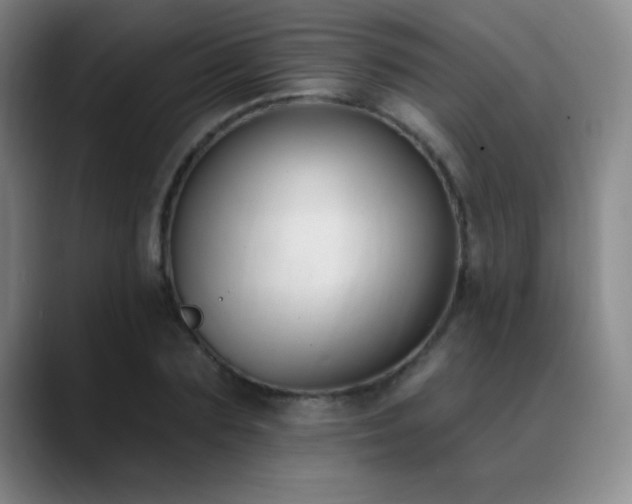 X0000089390883200706151220