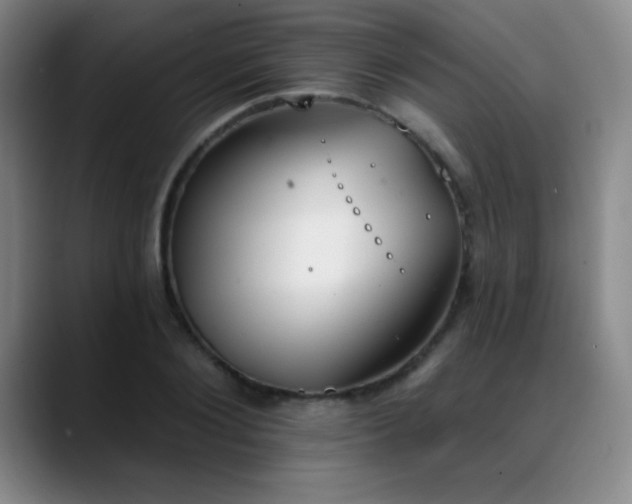 X0000089390884200706151220