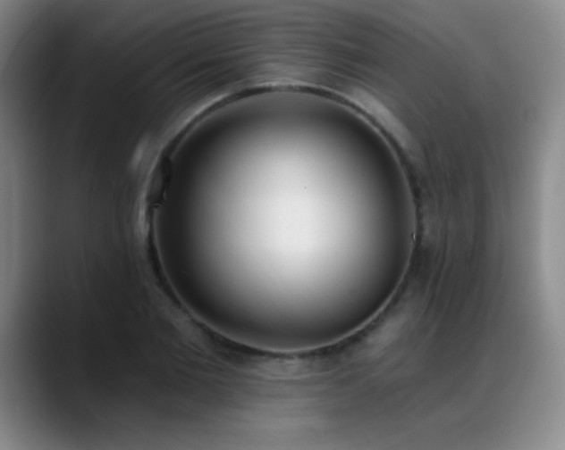 X0000089390885200706151220