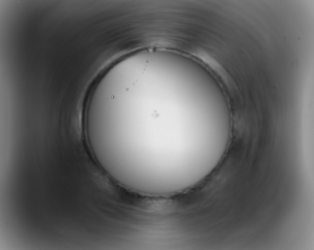 X0000089390886200706151220