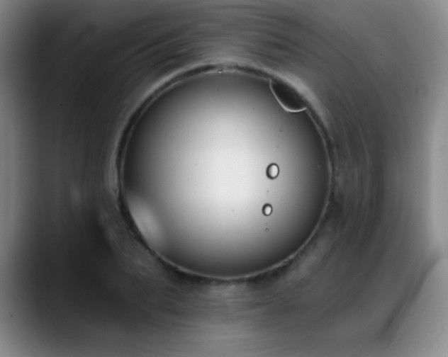 X0000089390887200706151220