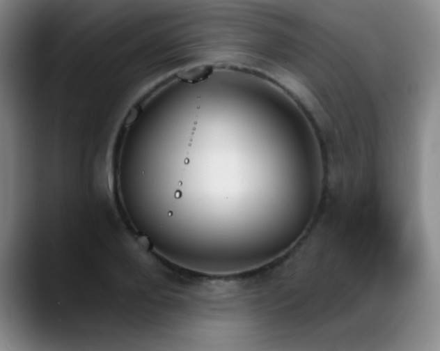 X0000089390888200706151220