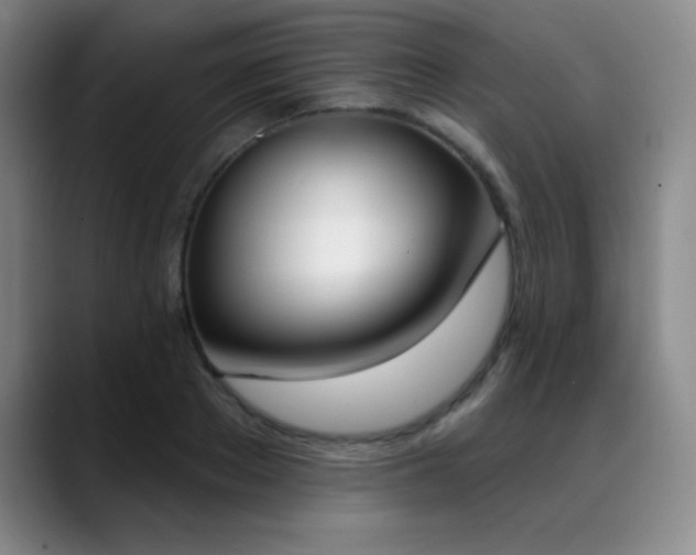 X0000089390889200706151220