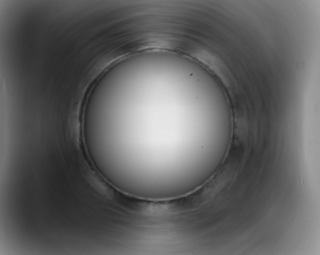 X0000089390890200706151220