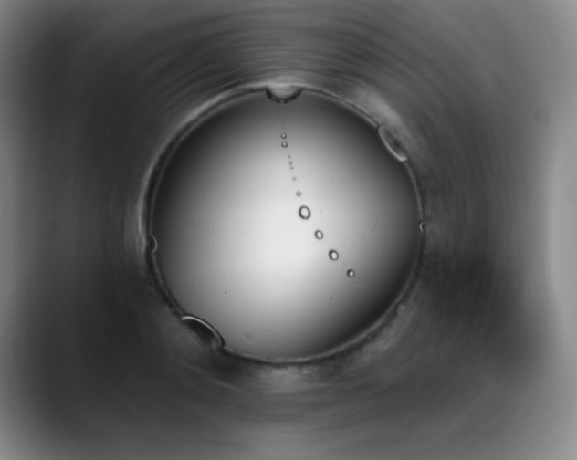 X0000089390892200706151220