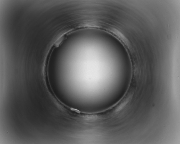 X0000089390893200706151220