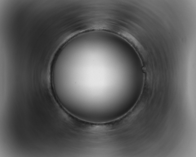 X0000089390894200706151220