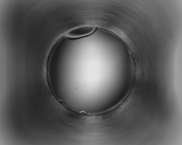 X0000089390896200706151220