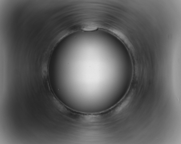 X0000089390897200706151220
