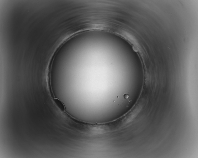 X0000089390899200706151220