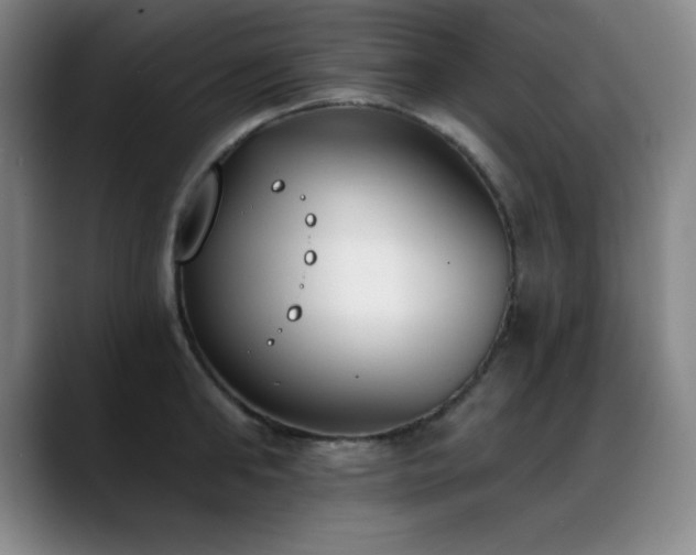 X0000089390902200706151220
