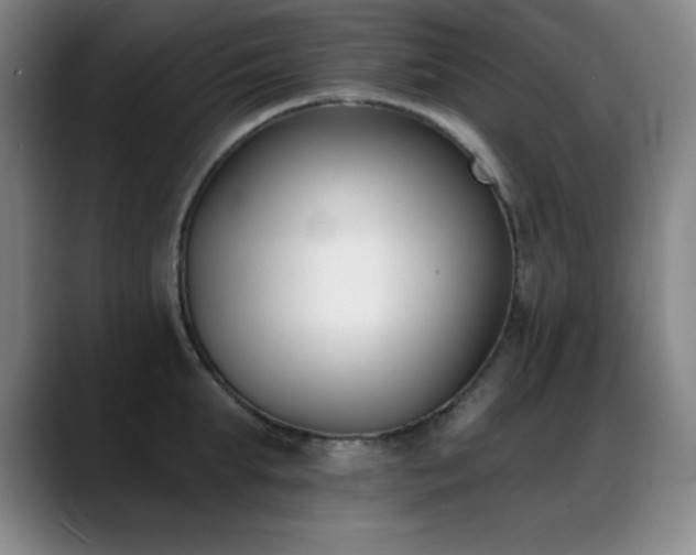 X0000089390903200706151220