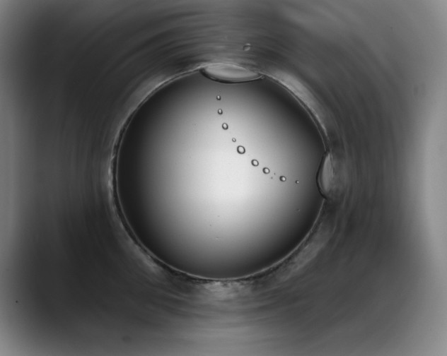 X0000089390906200706151220