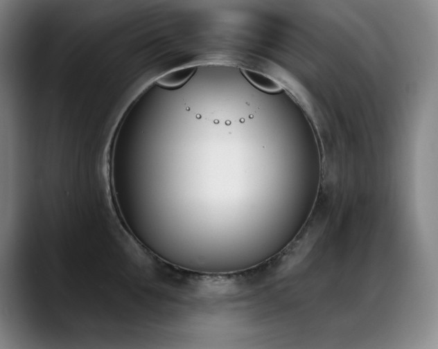 X0000089390907200706151220