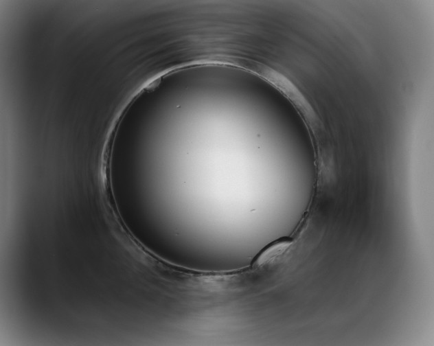 X0000089390908200706151220