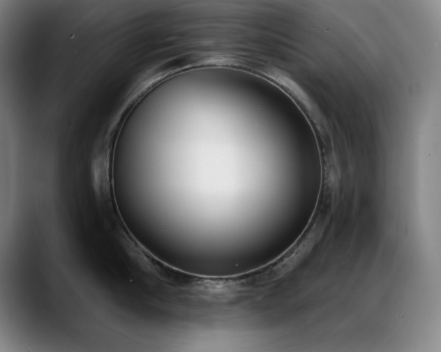 X0000089390910200706151220