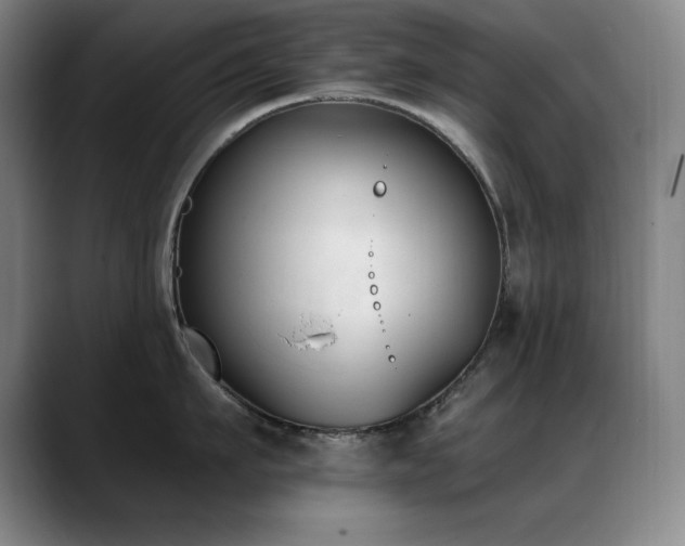 X0000089390911200706151220