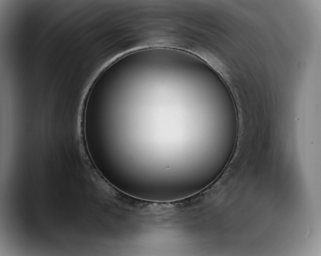 X0000089390912200706151220