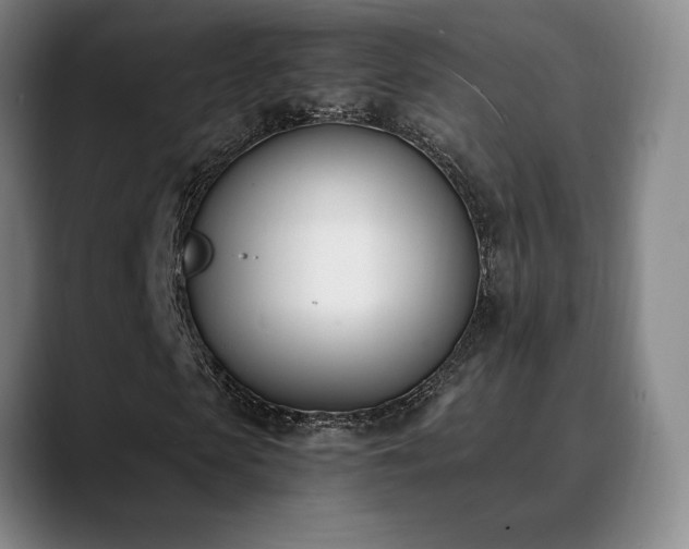X0000089390913200706151219