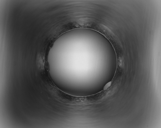 X0000089390915200706151219
